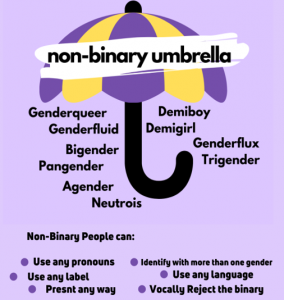 What we do mean by Trans or Non-Binary? - rainbow